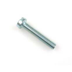 Schraube Schlitzkopf zylindrisch M4 x 22 mm (A1405)