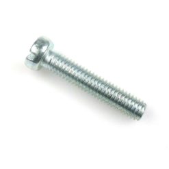 Schraube Schlitzkopf zylindrisch M6 x 30 mm (A1462 + A4696)