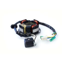 Stator inkl. Pick-Up zu Tomos Fun Sport