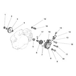 Zahnrad MINARELLI ORIGINAL mit 30 Zähne für Wasserpumpe zu AM6