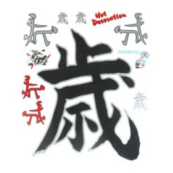Sticker-Set 4R CHINA (20 x 24cm)