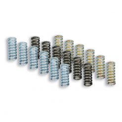 Kupplungsfedern Piaggio Beverly 400 Euro 5 ab 2021 (Clutch Spring)