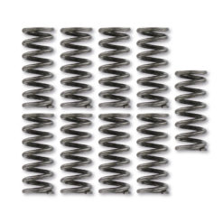 Kupplungsfeder Set Sachs 502, 503  A1325 (9 Stück)