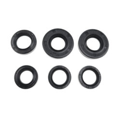 Simmerringsatz Puch MS 50 / MV 50 (6-teilig)