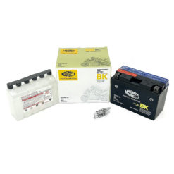 Batterie YT9B-BS MAGNETI MARELLI mit Säurepaket MOT9B-BS